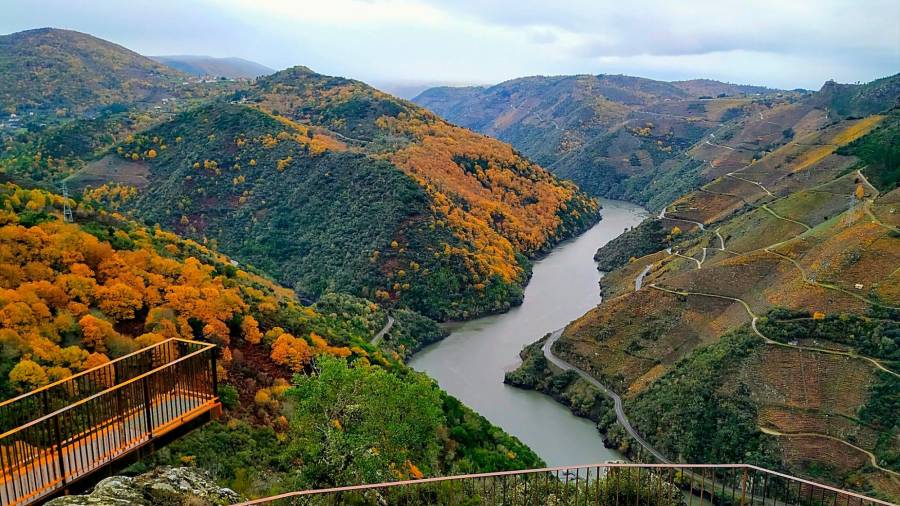 Mirador matacás
