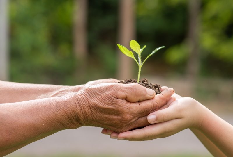 ¿Qué es la economía circular y por qué beneficia al medio ambiente?