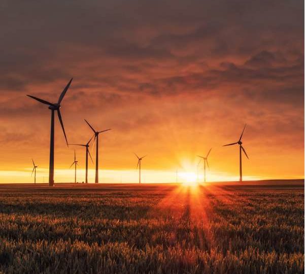 La gestión del recurso energético